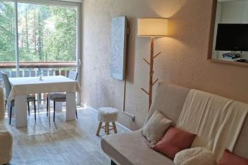 La Foux d'Allos : Studio Cosy au pied des pistes vue montagne