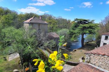 Le Moulin de Froment 2 gîtes de 8 et de 12 couchages, 10 min du Puy du Fou