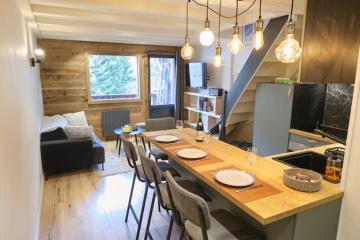 Bright apartment with view on the Mont-Blanc chain