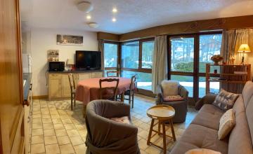 Appartement Ecrins de montagne
