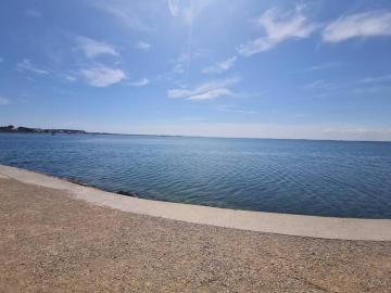 Sète pieds dans l'étang de Thau