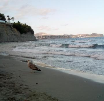 SANTA MARTA Atico