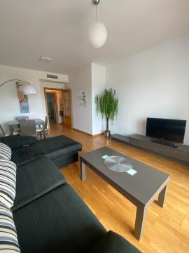 DEMENEX HOME TOYO