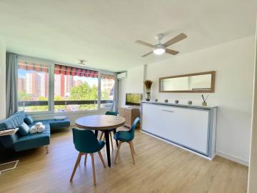 Cozy and Modern Studio