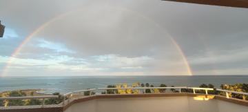 Apartamento solárium primera línea mar