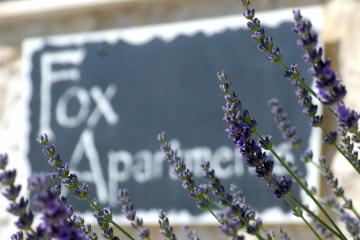 Fox Apartments