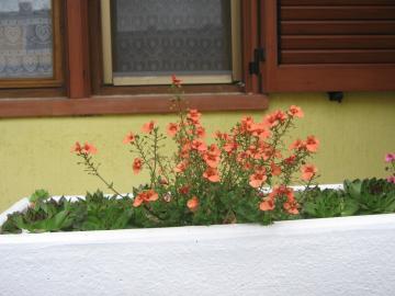 Apartment Meridiana