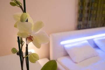 Anna Apartment