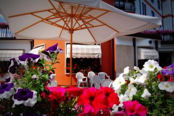 Hotel Iris