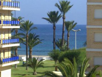 Alondras Playa Denia