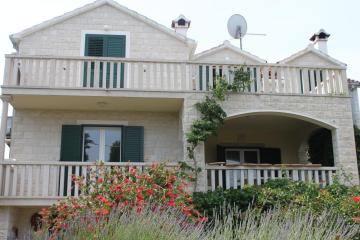 Oasis Apartments