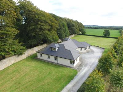 Moorepark West House - 5