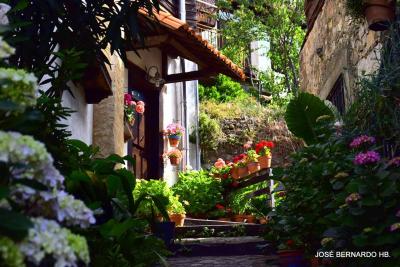 Casa Rural Amparo