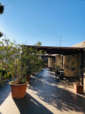 Hotel Delfina - 4