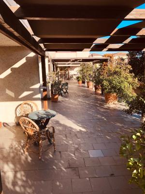 Hotel Delfina - 6