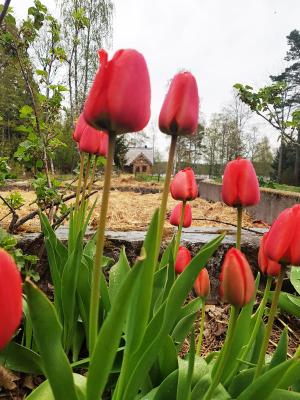 Garpenbergs B&B, BnB - 7