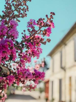 l'Orangerie de La Pontête - 3
