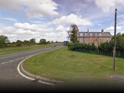 BlackbullA1lodge - 4