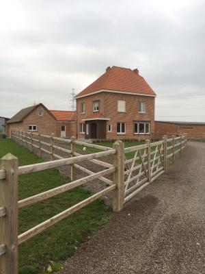 De Perenboom - 1