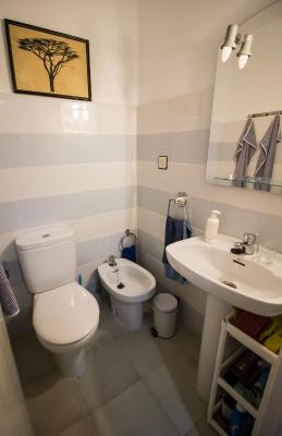 Casa con jardín a 5' de Aranda de Duero - 2