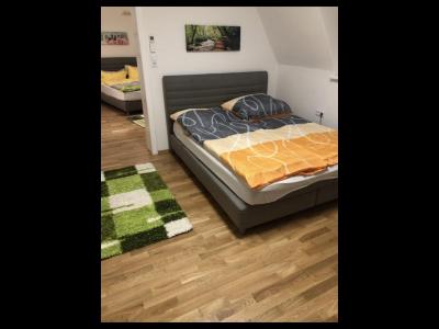 Walzhofer Apartement - 6