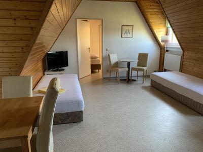 Gästehaus an der Rheinbrücke - 4