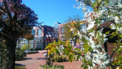 Hotel am Hasengarten - 6