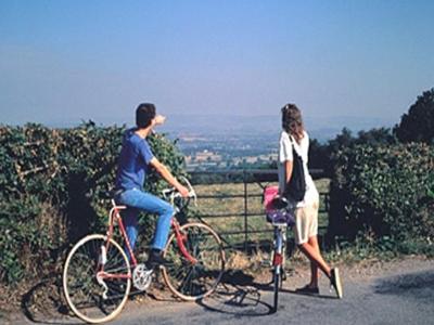 Nook and Harbour Holiday Apartments & rooms - 4