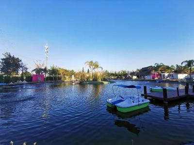 Casa Flores Hotel & Spa - 7