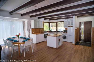 Czarny Kot Mazury Dom Całoroczny - 3