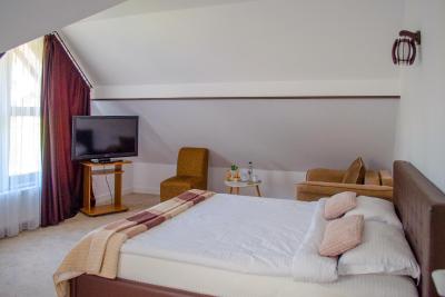 Residence Ghinita Bucovina - 1
