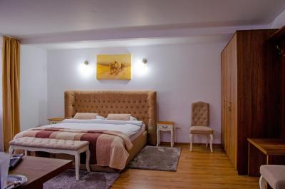 Residence Ghinita Bucovina - 7
