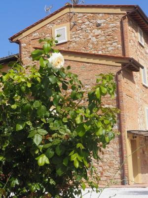 La casa di Samarcanda - 5
