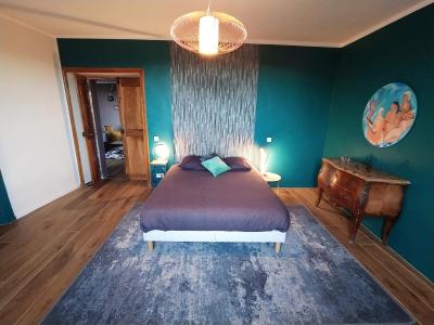 Chateau de Beaucouse - 2