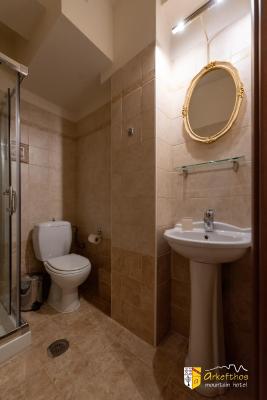 Arkefthos Mountain Hotel - 7