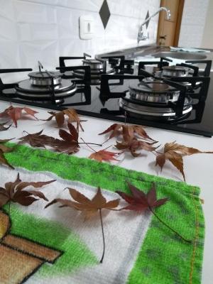 Casa e Flat Conforto Gramado