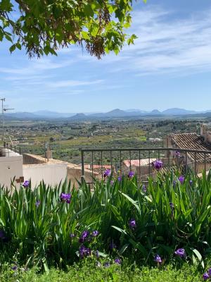 El Portal de Moratalla - 5