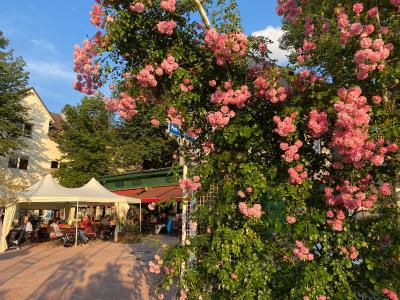 Kurhaus Apartment King Size Bett 180x200 - 7