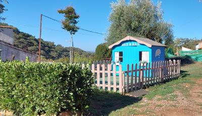 Casa Octavio