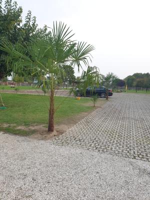 Ranch borgo bella vita - 1