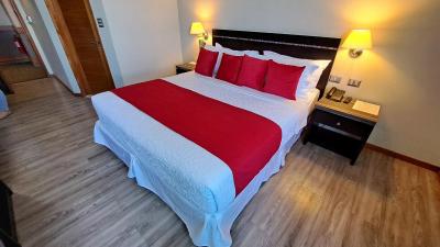 Hotel Diego de Almagro Chillan - 7