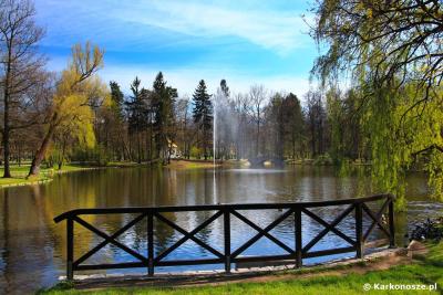 Apartament "Jeleń" Jelenia Góra - Cieplice - 7