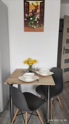 Apartament "Jeleń" Jelenia Góra - Cieplice - 3