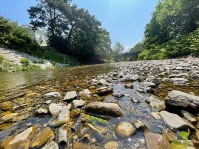 Nest Natur Hostel - 1