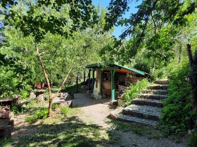 Wood Cabins in the heart of Transylvania - 4