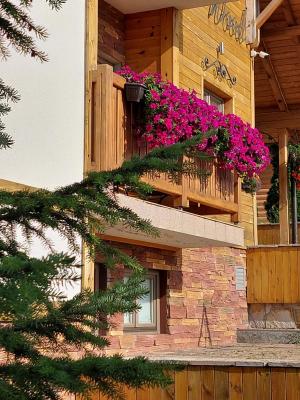 Villa Natural Wood - 5
