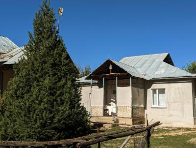 House with plum grove near the river