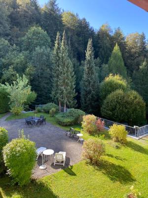 Schwarzwaldblick - 7