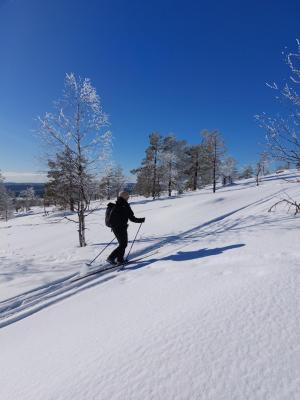 Bed & Breakfast Willa Armas - 6