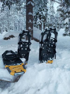 Bed & Breakfast Willa Armas - 2